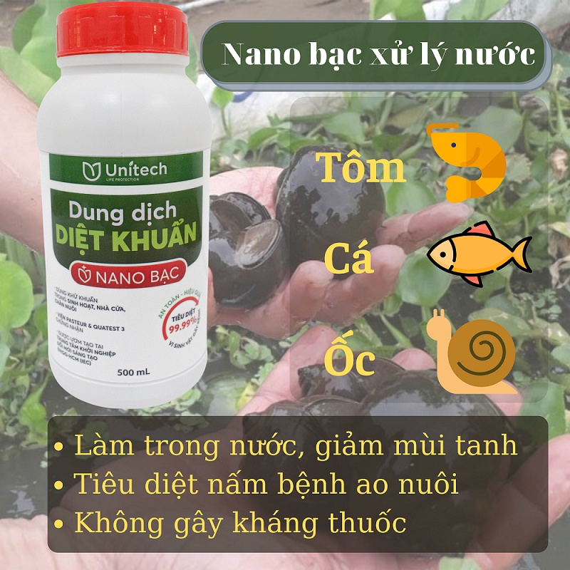 Nano bạc xử lý nước ao nuôi - Khử mùi tanh, làm trong nước, phòng nấm khuẩn cho tôm, cá, ốc