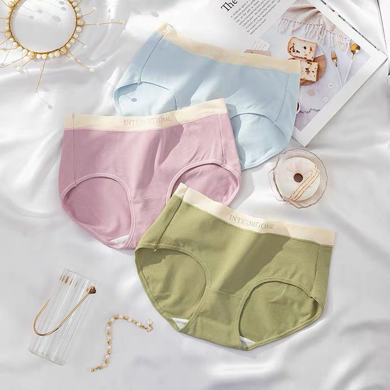 Quần lót nữ cotton lì International cạp su kháng khuẩn cao cấp QL8858