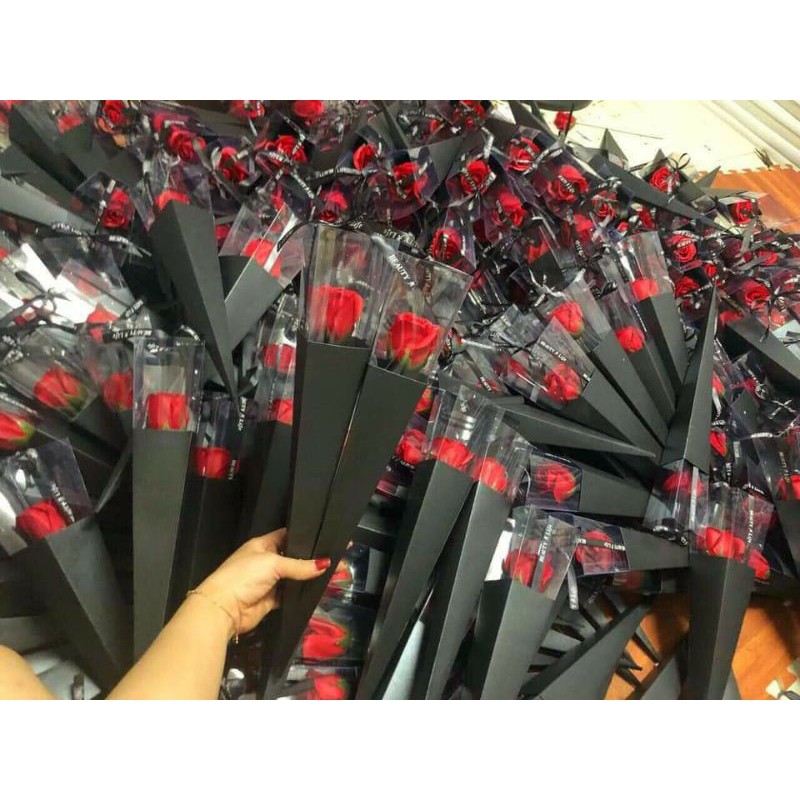 Hộp1bôngtamgiac sỉ 7,9k