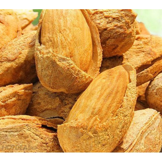 HẠNH NHÂN RANG BƠ VỎ SIÊU MỎNG LOẠI 1 HỘP 500G