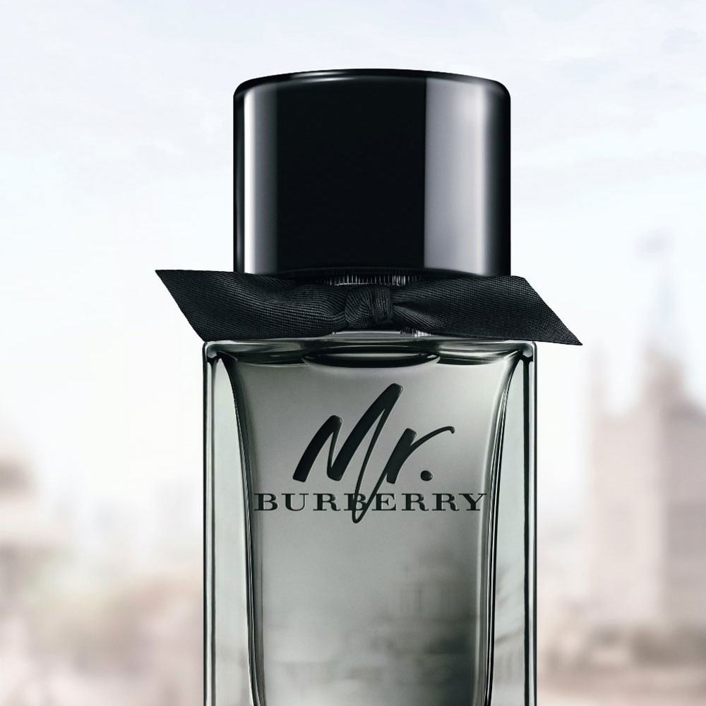 Nước Hoa Nam MR. BURBERRY EAU DE PARFUM - Nước Hoa Nam BURBERRY - Nước Hoa Nam Bí Ẩn -  Nước Hoa Nam 100ml | BigBuy360 - bigbuy360.vn