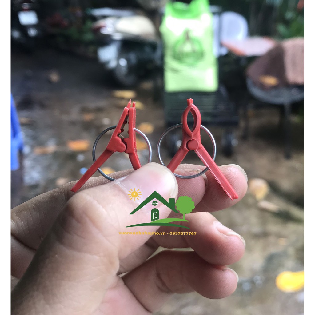 50 Kẹp dùng ghép cây giống bầu bí chanh dây dưa leo cà chua