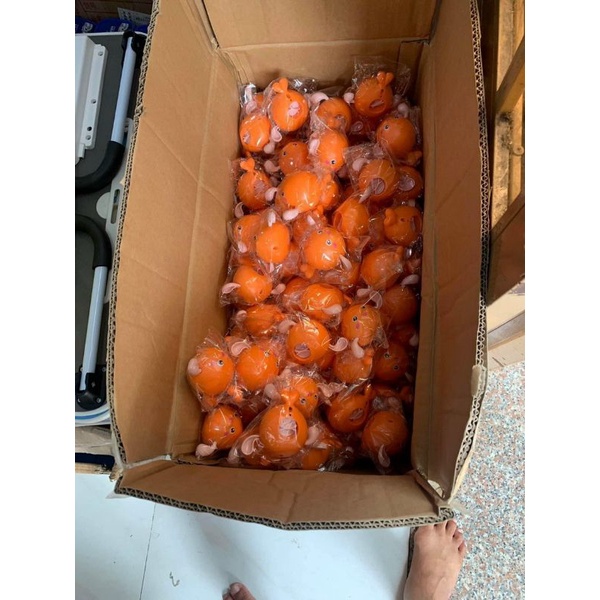 chú rùa,vịt con đang tập bơi trong chậu nước,