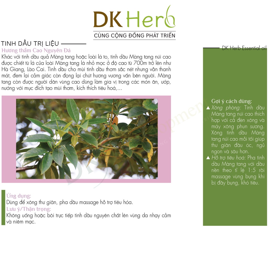 Tinh dầu Màng tang núi cao Việt Nam nguyên chất DK Herb 10ml - Kiểm nghiệm GCMS