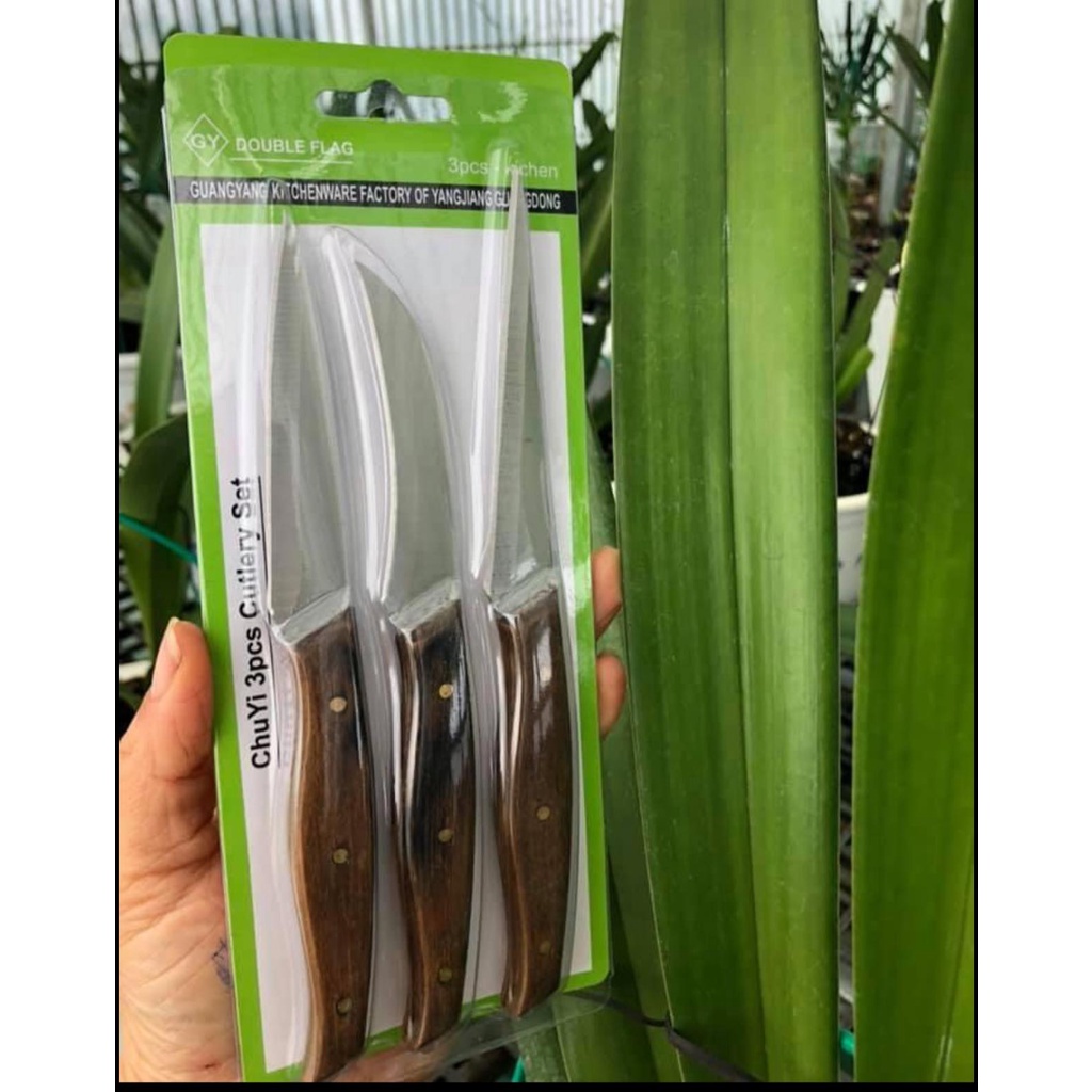 Bộ 03 con dao bằng thép không rỉ tách lan kiếm, cắt tỉa hoa quả.