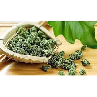 địa lan tam thất nam