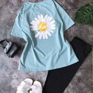 Bộ coton 179