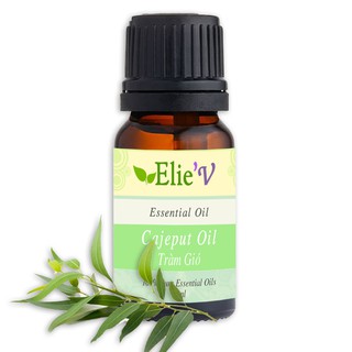 Tinh dầu tràm gió 10ml 50ml 100ml