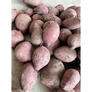 [Chỉ Giao HCM] - Khoai lang tím 1kg