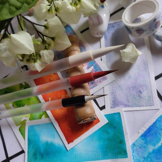 Set cọ Lục Phì Hồng Sấu {Dẫn Thuỷ Hiên}