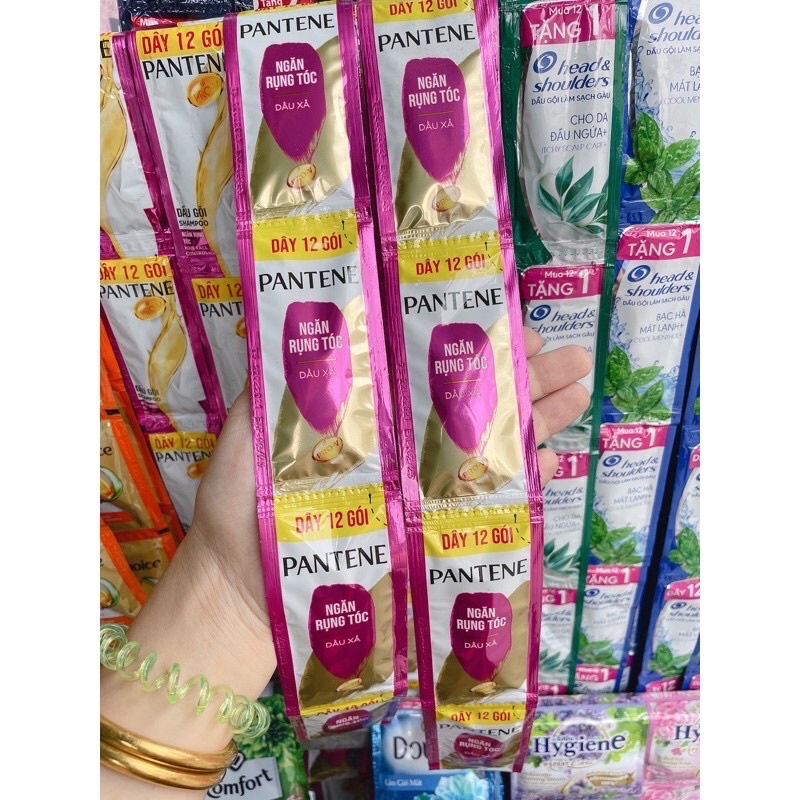 Dây gội xã pantine