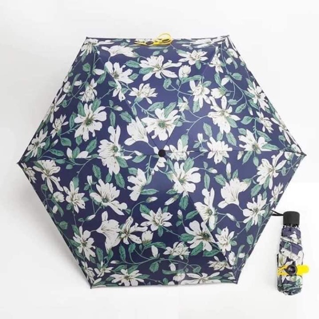 Ô mini xuất nhật