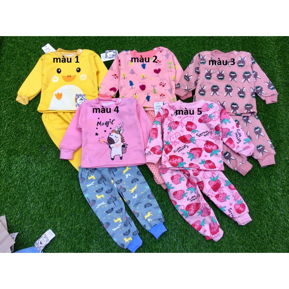 BỘ NỈ BÔNG QUẢNG CHÂU XỊN SÒ CHO BÉ GÁI - BNBBG