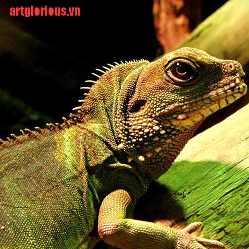 Đèn Sưởi Ấm Bằng Gốm Hồng Ngoại Dành Cho Bò Sát