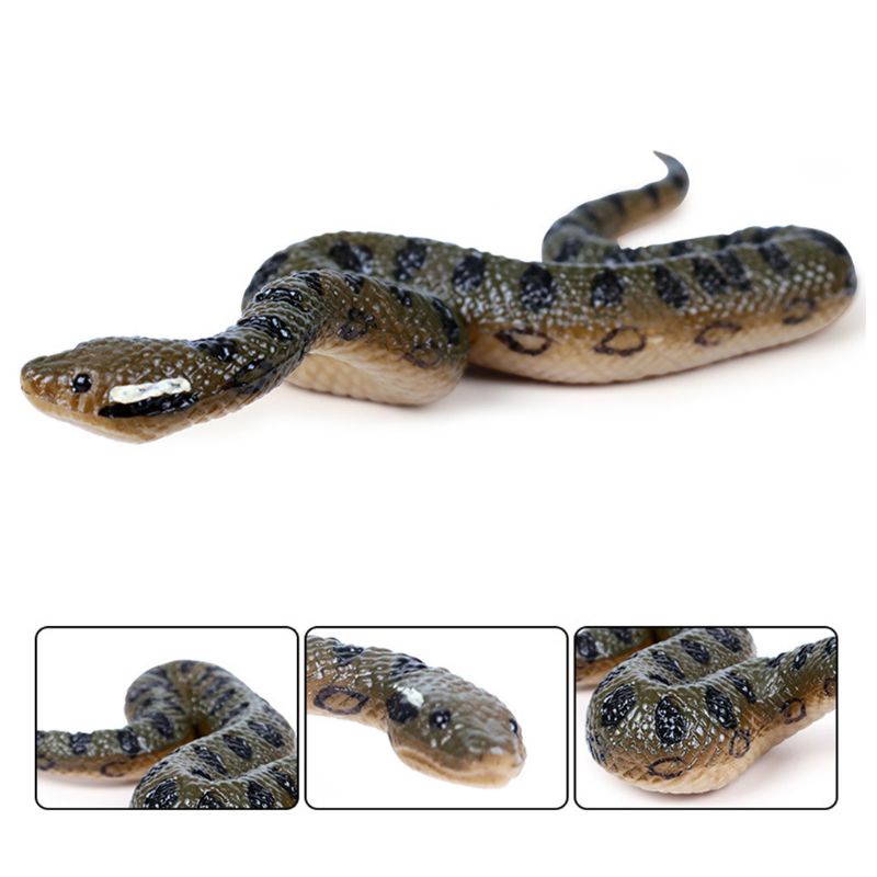 Mô Hình Rắn Anaconda 5in Dùng Làm Đạo Cụ Ảo Thuật