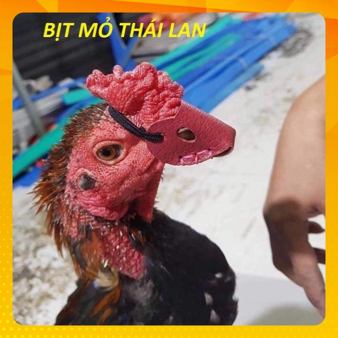 Bịt Mỏ Cho Gà Chọi [HÀNG LOẠI ĐẸP] Bao Mỏ Thái Cho Gà