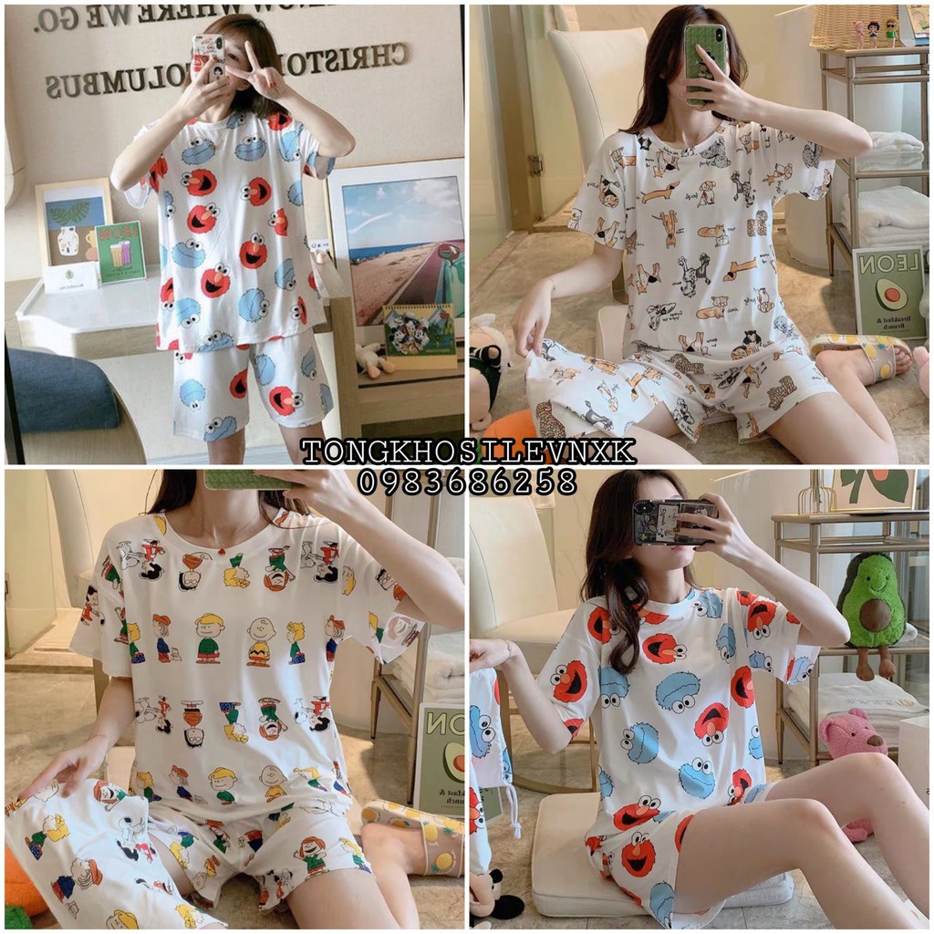 BỘ NGỦ HÌNH KAWS QUÁI VẬT - SET BỘ HÌNH CẬU BÉ - BỘ MẶC NHÀ HÌNH CHÓ CÚN CUTE