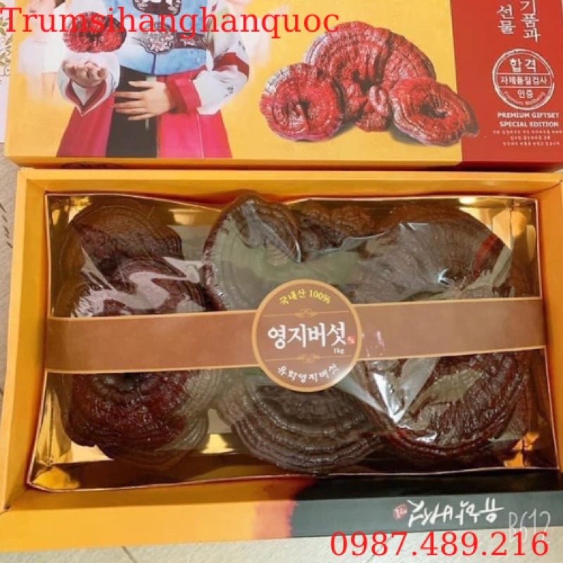 [GIÁ SỈ] Nấm Linh Chi Đỏ Hàn Quốc Hộp Giấy Cô Gái CAO CẤP [DATE MỚI]