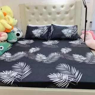 Set ga gối cotton poly
