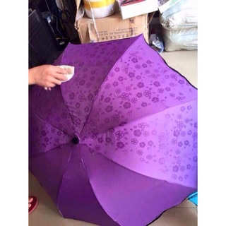 Ô gặp nước nở hoa