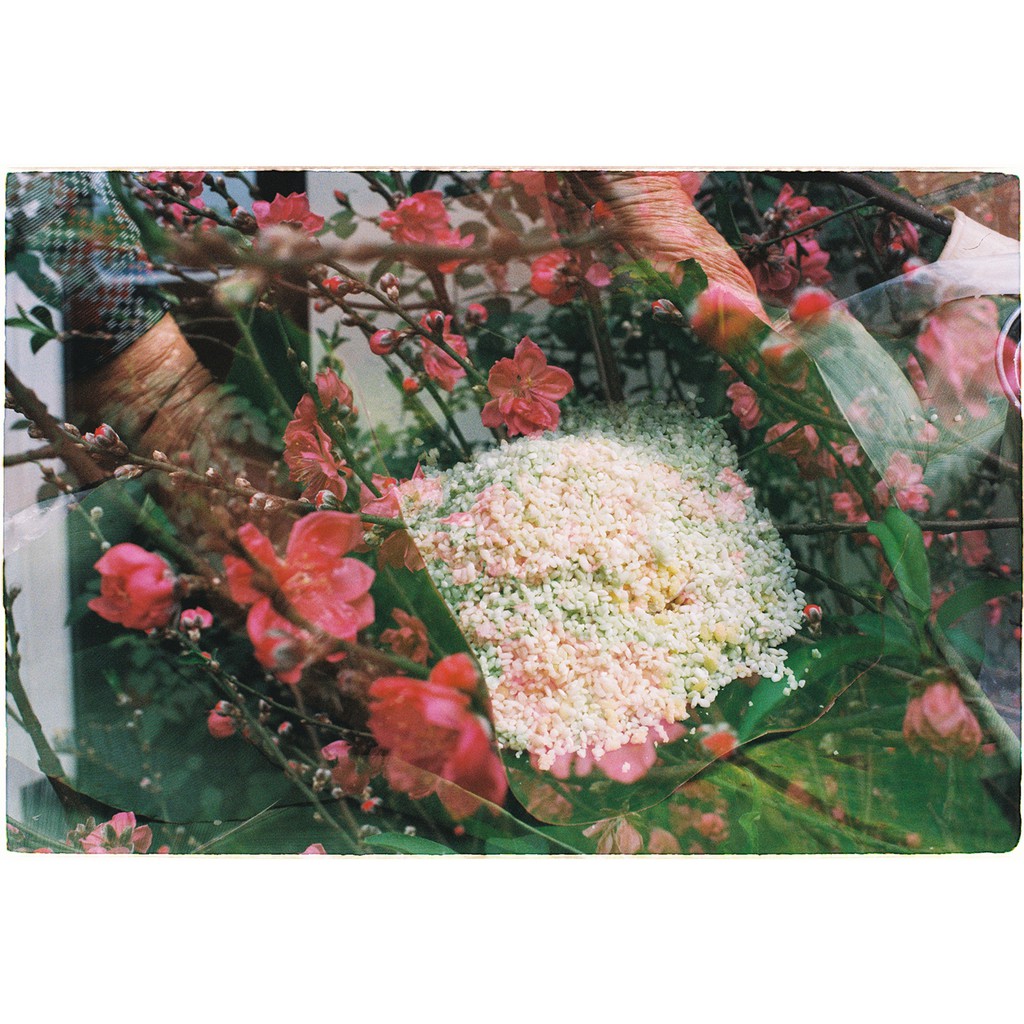 Film Âm Bản Kodak UltraMax 400 - 36exp - Date T8/2025