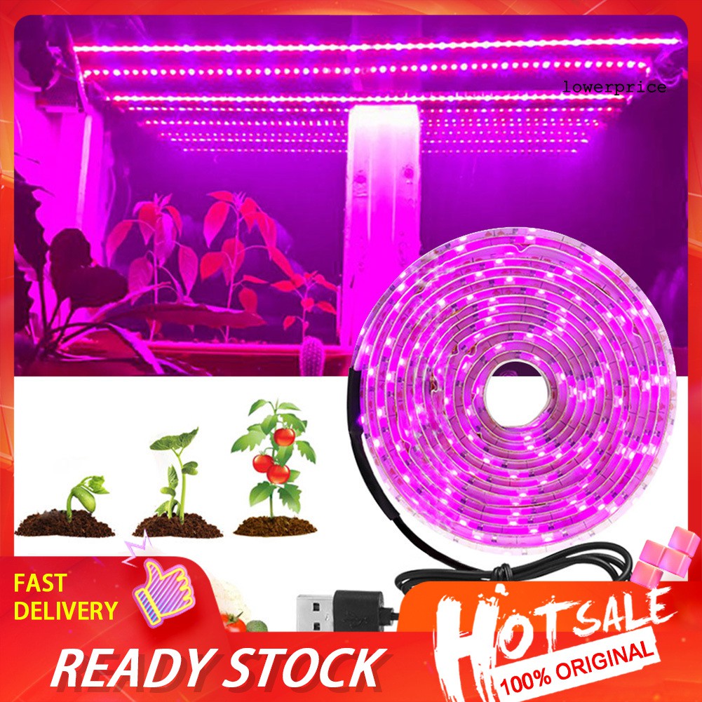 Dây Đèn Led Quang Hợp Với Cáp Usb Smd 2835 Kèm Tấm Cuộn Cuộn Dùng Trang Trí 200cm / 300cm / 500cm 5v