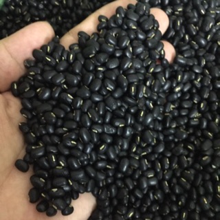 ( Đăc sản quê) Đỗ đen