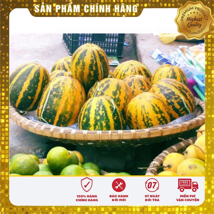 Hạt Giống Dưa Bở Thơm hạt giống dưa dễ trồng