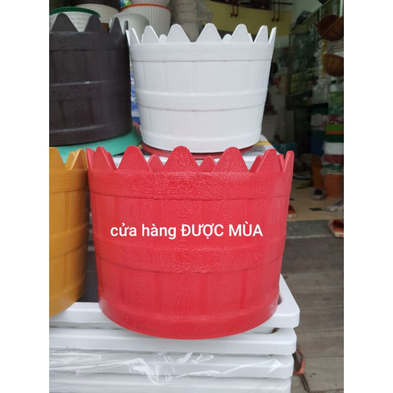 chậu hàng rào kiểu tròn đường kính 30cm.