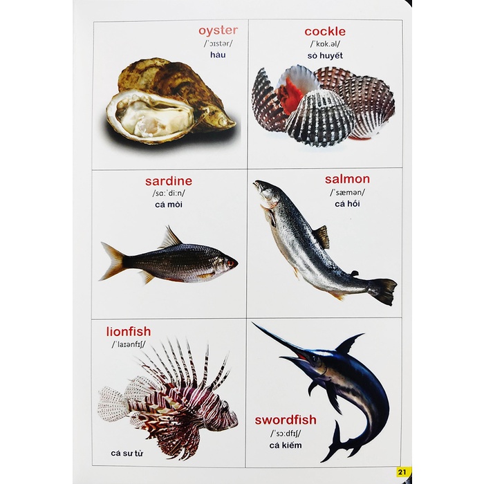 Sách - Bách khoa bằng hình đầu tiên cho bé Đại Mai book - Tập 2 - Quét mã QR để nghe đọc