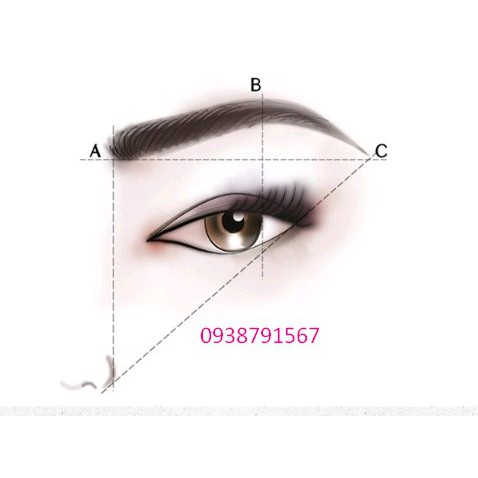 Bột tán lông mày - hộp 3 màu kèm cọ tán