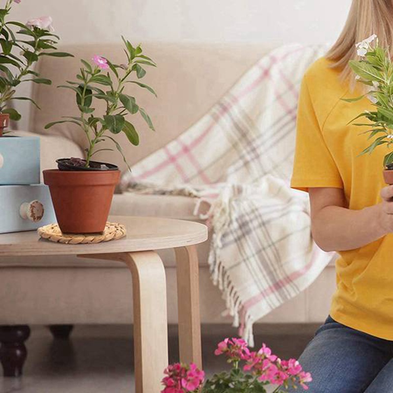 Bộ 6 Đế Lót Ly Bằng Cỏ Biển Handmade Bền Bỉ