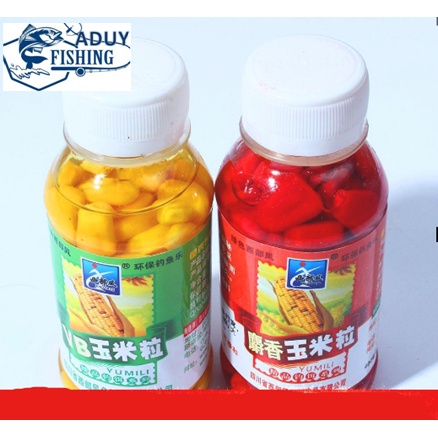 bắp hạt câu cá chép , cá trắm