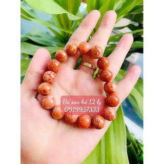 Vòng san hô ( nhiều size )