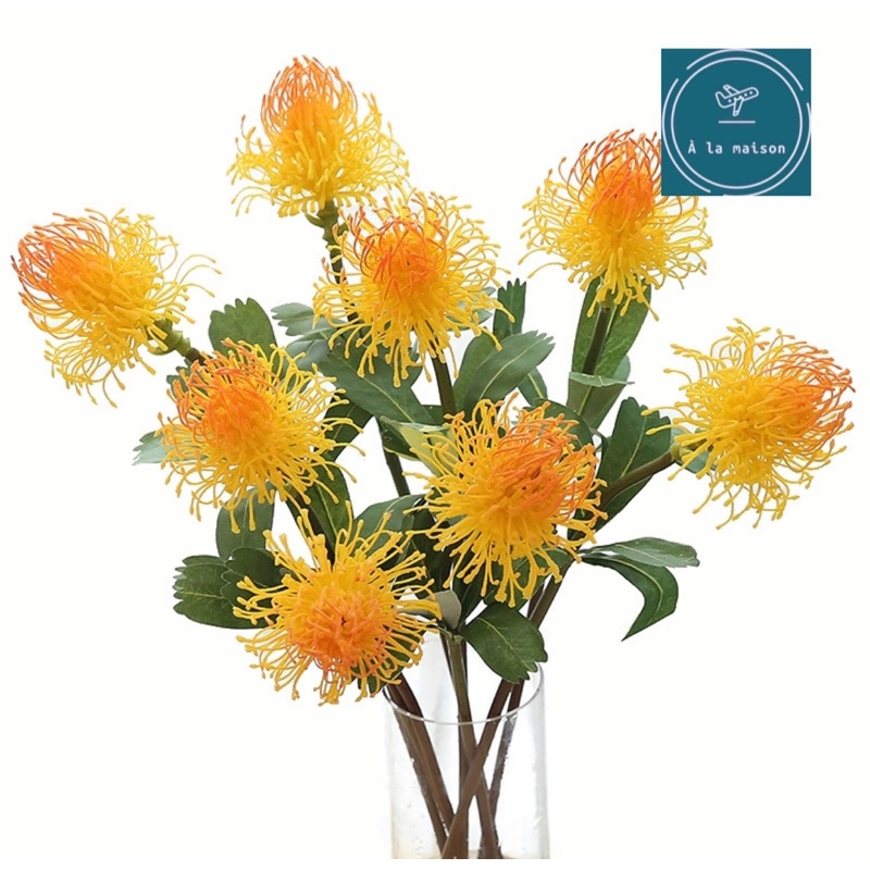 Cành hoa Leucos cao 70cm đẹp sang trọng và lạ mắt, dùng decor thiết kế hoa cưới, hoa trang trí nhà cửa