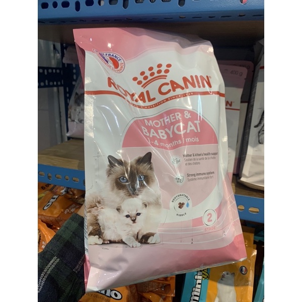 Hạt Royal Canin Mother &amp; Babycat - Thức Ăn Hạt Cho Mèo Mẹ Mang Thai &amp; Mèo Con