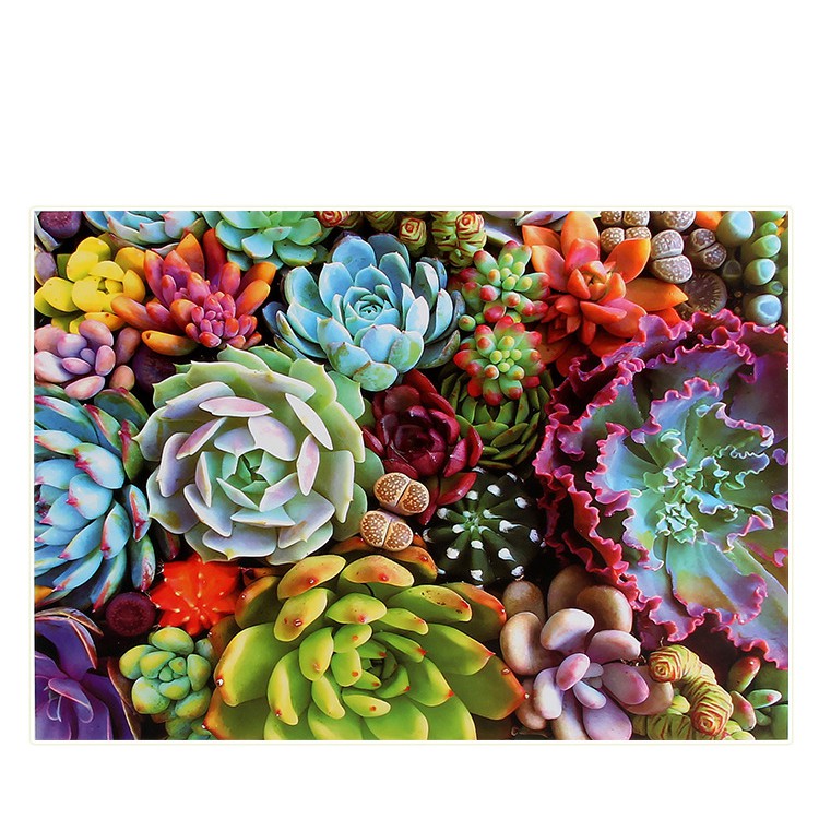 Bộ Tranh Ghép Xếp Hình 1000 Pcs Jigsaw Puzzle (Tranh ghép 70*50cm) Sắc Màu Bản Thú Vị Cao Cấp-H34