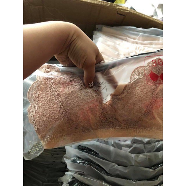 Áo lót nữ ren đệm mỏng hoa baby không gọng nâng ngực mã 8288