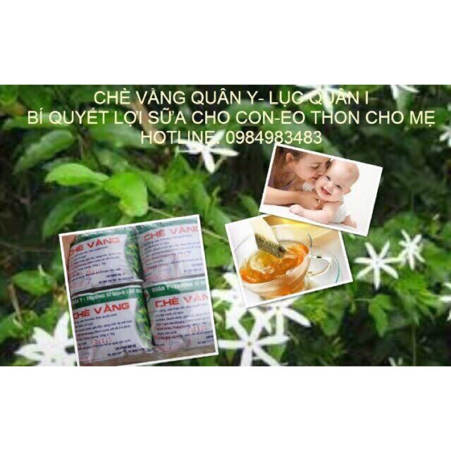 Combo bịch chè vằng túi lọc Lục Quân.