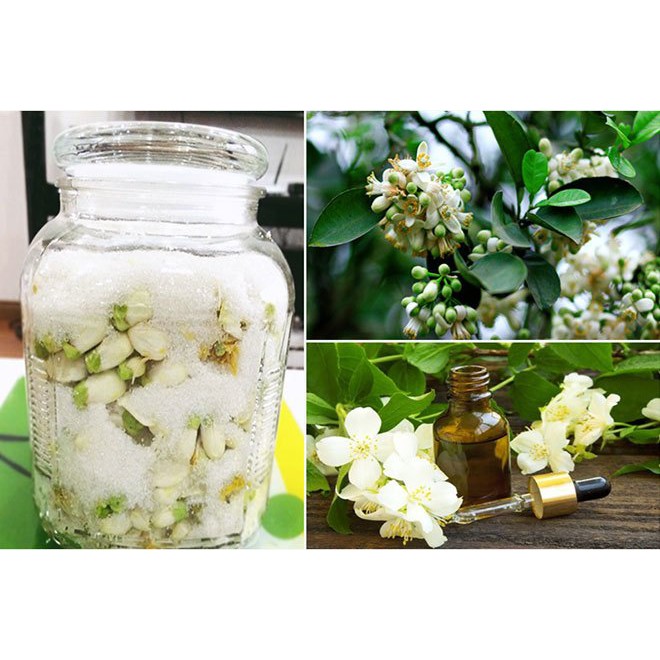 Tinh dầu thơm phòng ⚜ FREESHIP ⚜Tinh dầu thiên nhiên 8ml | 50ml | 100ml  nguyên chất nhập khẩu và trong nước