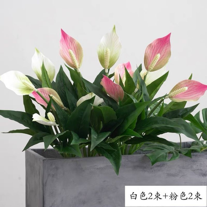 Cây hoa lan ý giả cao 50cm - 3 nhánh hoa- trang trí nhà cửa nội thất siêu yêu.