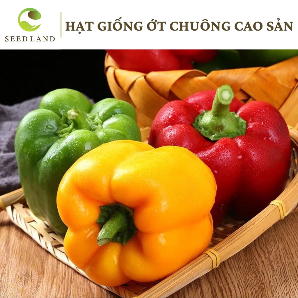 Hạt giống ớt chuông cao sản Úc - 30 hạt, quả to năng suất cao Seed Land