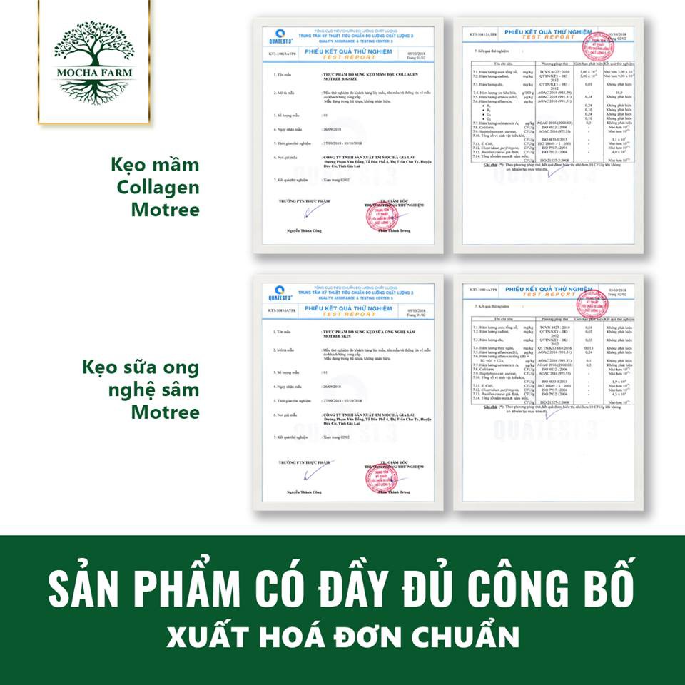 KẸO MẦM ĐẬU NÀNH MOCHA - TẶNG TÚI GIẤY MOCHA VÀ PHIẾU BẢO HÀNH | BigBuy360 - bigbuy360.vn