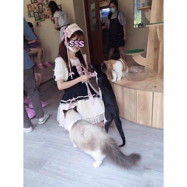 YASLC0127-Cài tóc lolita ren