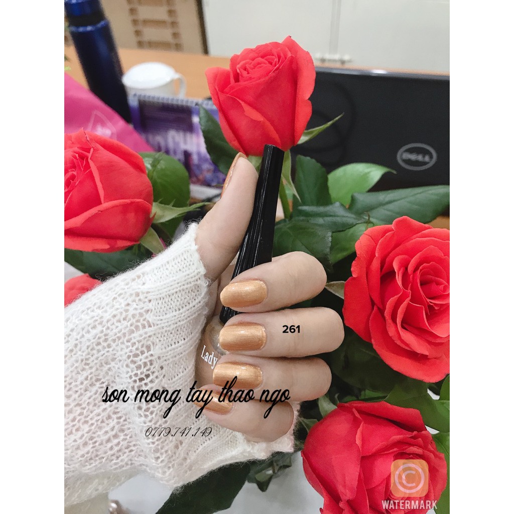 Sơn móng tay Ladydream 12ml (sơn thường)