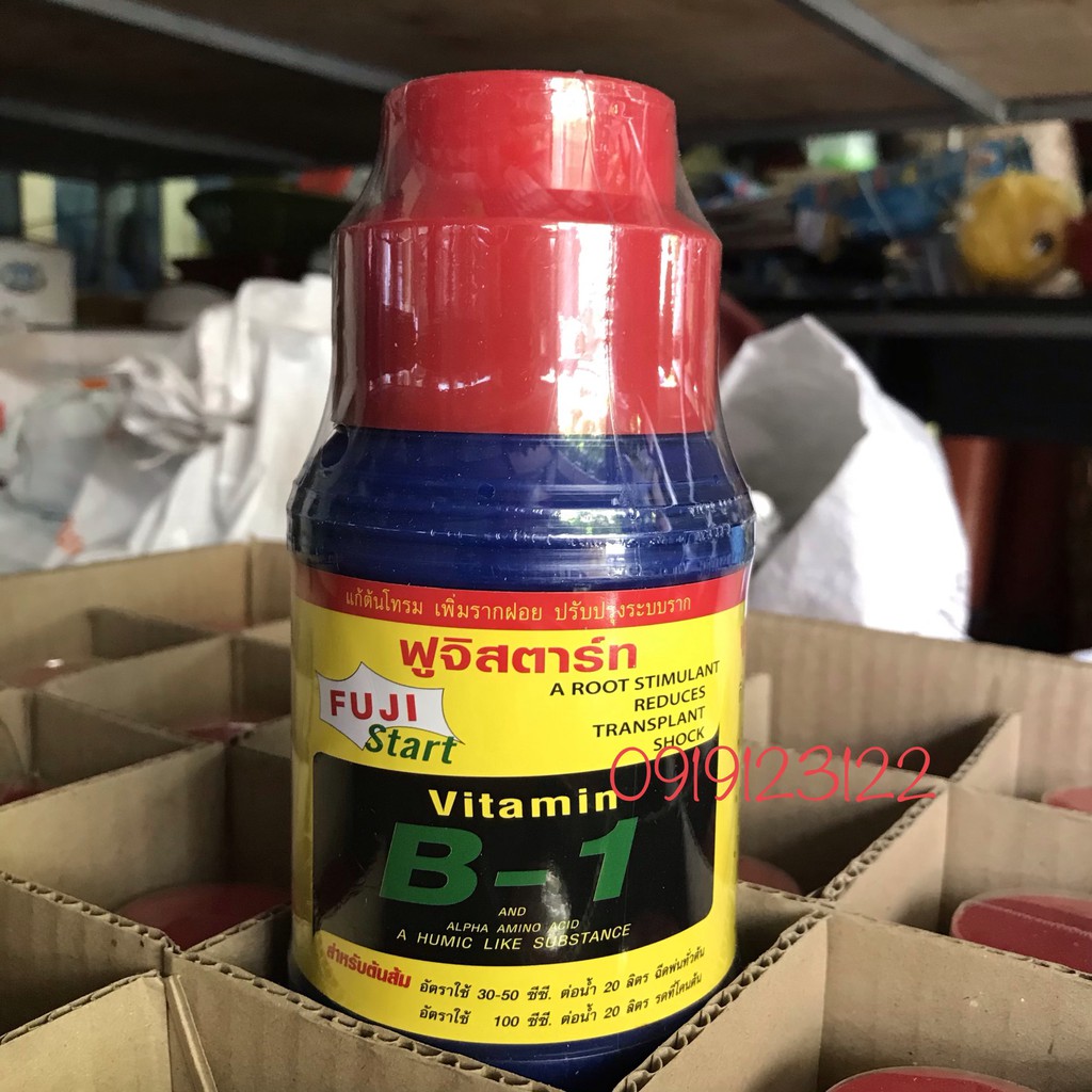 Vitamine B1 thái Fuji Start chai 500ml