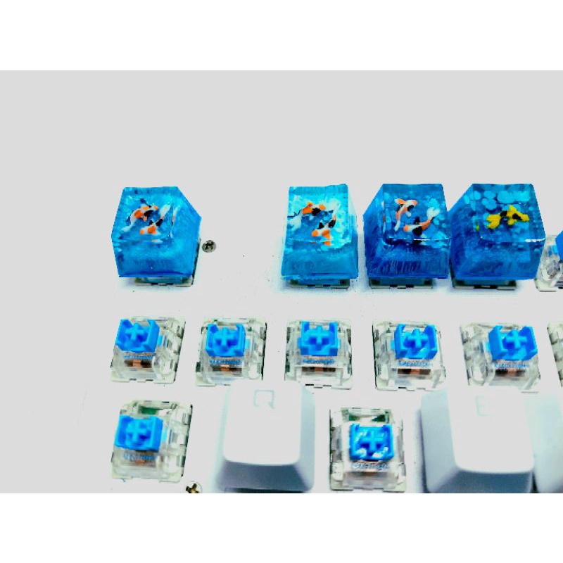 Keycap cá koi mini nền xanh dương trang trí bàn phím cơ.