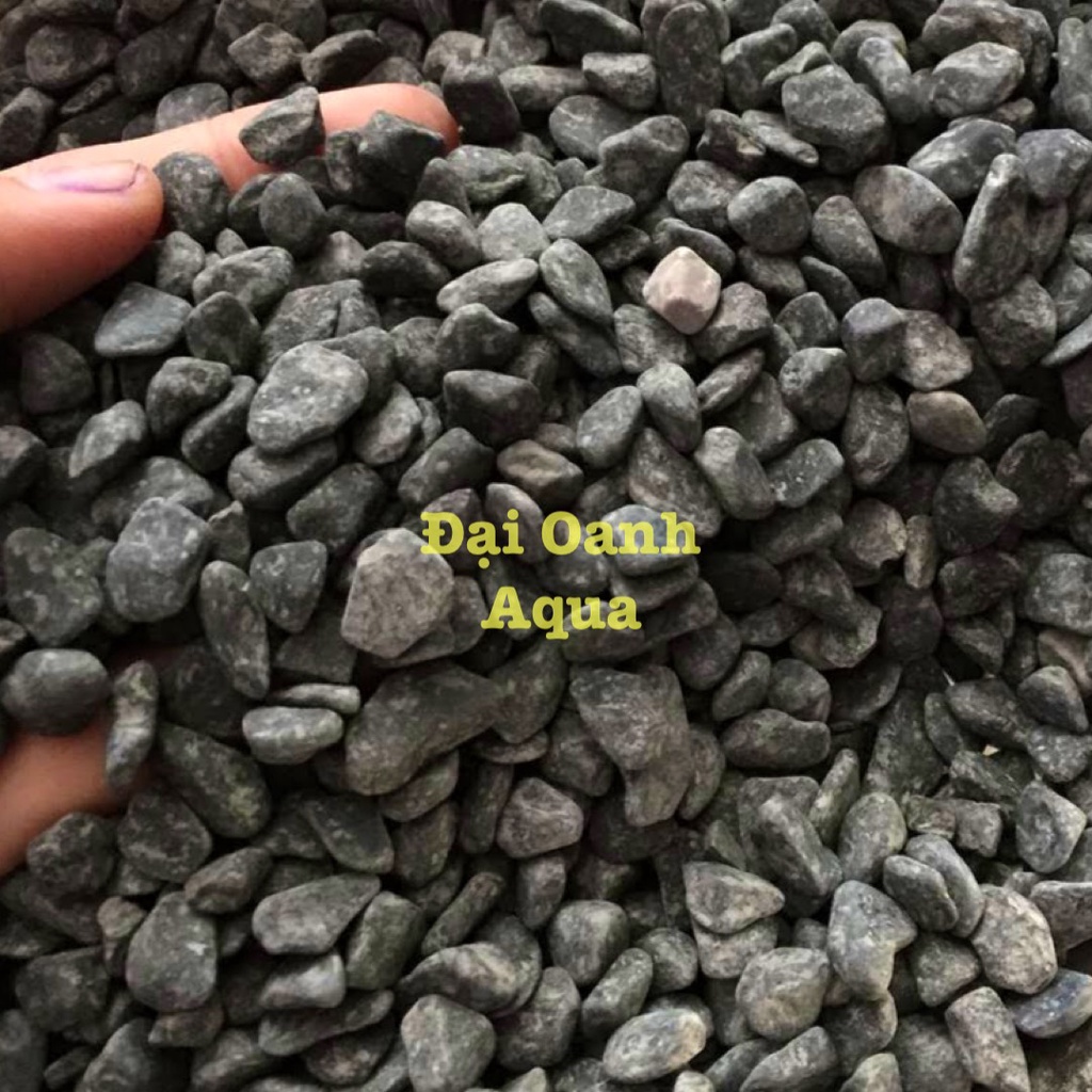 500gr Sỏi Đen Platinum - Sỏi Trải Nền Trang Trí Bể Cá, Bể Thủy Sinh