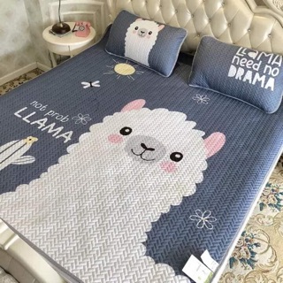 chiếu điều hoà tencel m8