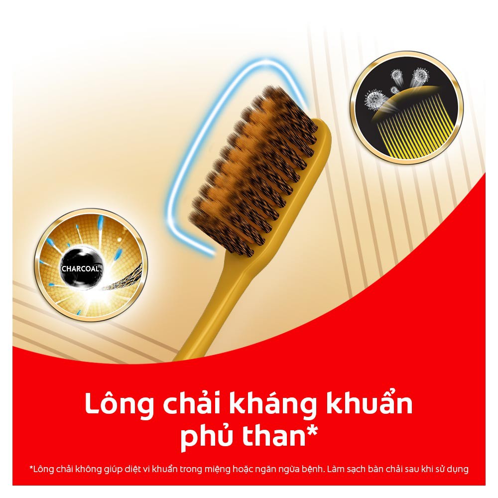 [Mã FMCGCO5 giảm 8% đơn 250K] Bộ 2 Bàn chải Colgate Slimsoft Charcoal Gold kháng khuẩn than vàng